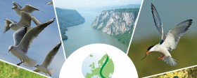 Dan Evropskog zelenog pojasa u Kladovu